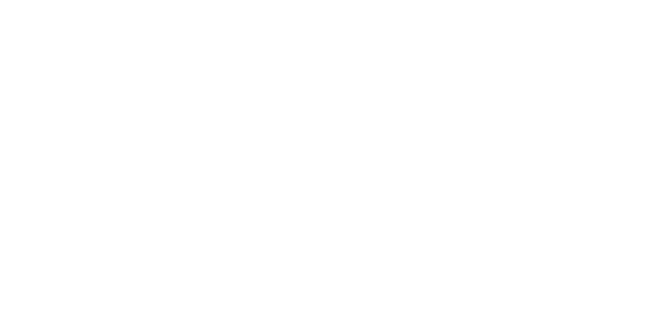 넷엔터테인먼트 logo